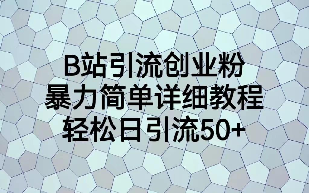 B站引流创业粉，暴力简单详细教程，轻松日引流50+网赚项目-副业赚钱-互联网创业-资源整合华本网创