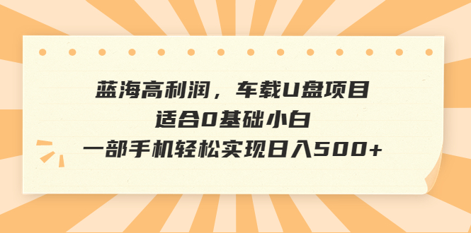 （6600期）蓝海高利润，车载U盘项目，适合0基础小白，一部手机轻松实现日入500+网赚项目-副业赚钱-互联网创业-资源整合华本网创