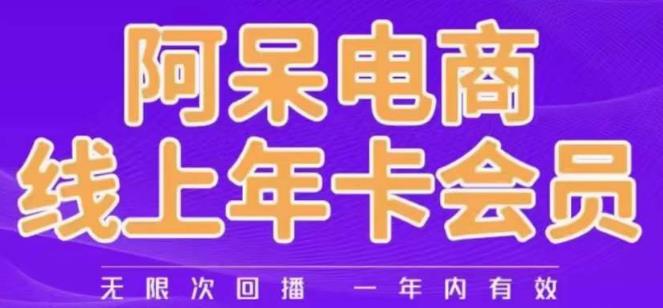 阿呆电商线上年会员，阿呆电商干货分享（更新中）网赚项目-副业赚钱-互联网创业-资源整合华本网创