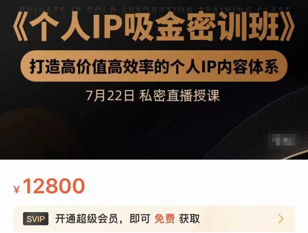 个人IP吸金密训班，打造高价值高效率的个人IP内容体系（价值12800元）网赚项目-副业赚钱-互联网创业-资源整合华本网创