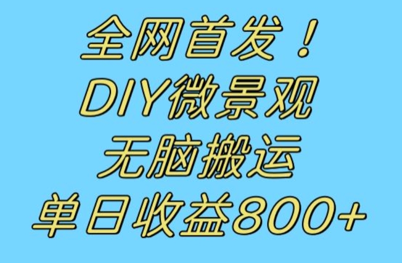 全网首发冷门赛道！DIY微景观，无脑搬运视频，日收益800+【揭秘】网赚项目-副业赚钱-互联网创业-资源整合华本网创