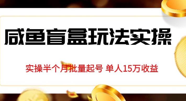 独家首发咸鱼盲盒玩法实操，半个月批量起号单人15万收益【揭秘】网赚项目-副业赚钱-互联网创业-资源整合华本网创