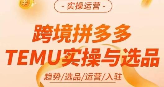 伍跃·跨境拼多多TEMU实操与选品，​趋势/选品/运营/入住（27节完整）网赚项目-副业赚钱-互联网创业-资源整合华本网创