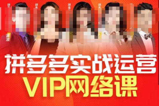 推易拼多多VIP全套直播课程，拼多多店铺实操玩法+实战玩法选款内功+直通车高阶等网赚项目-副业赚钱-互联网创业-资源整合华本网创