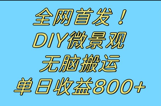 全网首发冷门赛道！DIY微景观，无脑搬运视频，日收益800+网赚项目-副业赚钱-互联网创业-资源整合华本网创