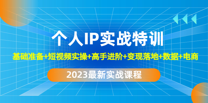 （4735期）2023个人IP实战特训：基础准备+短视频实操+高手进阶+变现落地+数据+电商网赚项目-副业赚钱-互联网创业-资源整合华本网创