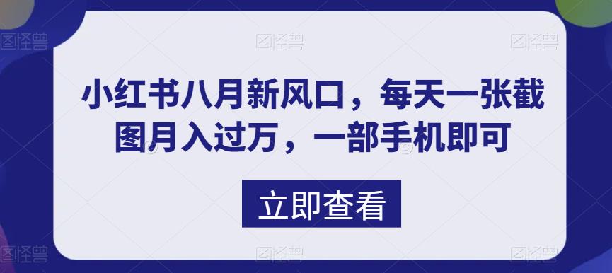 （6851期）八月新风口，小红书虚拟项目一天收入1000+，实战揭秘网赚项目-副业赚钱-互联网创业-资源整合华本网创