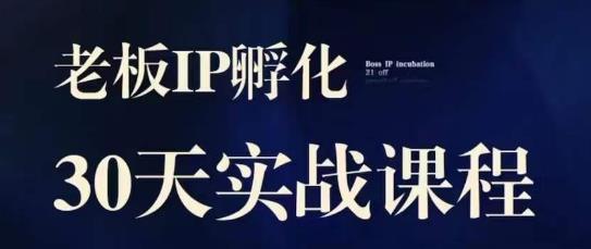 诸葛·2023老板IP实战课，实体同城引流获客，IP孵化必听网赚项目-副业赚钱-互联网创业-资源整合华本网创