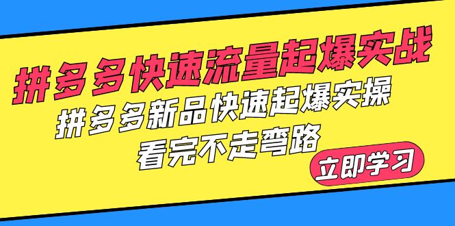 （6253期）拼多多-快速流量起爆实战，拼多多新品快速起爆实操，看完不走弯路网赚项目-副业赚钱-互联网创业-资源整合华本网创