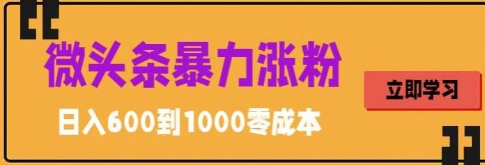 微头条暴力涨粉技巧搬运文案就能涨几万粉丝，简单0成本，日赚600【揭秘】网赚项目-副业赚钱-互联网创业-资源整合华本网创